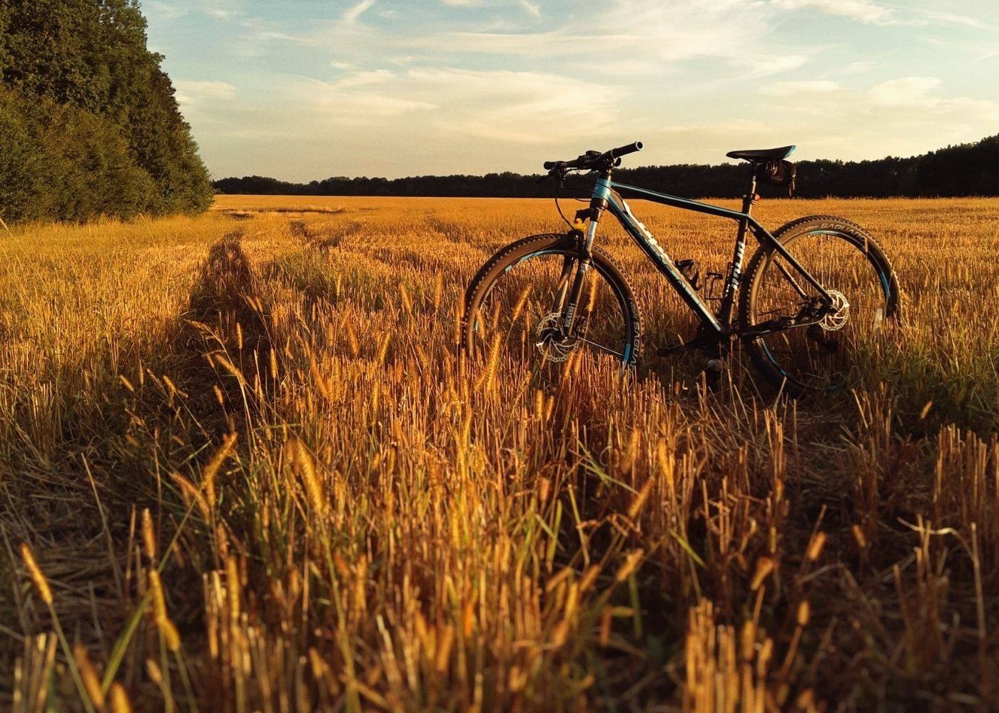 flat bar gravel bike at a grass field