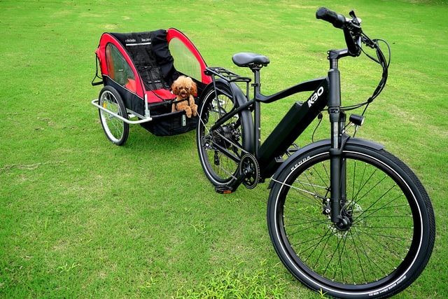 Electric Bike with Luggage Rack as Special Feature