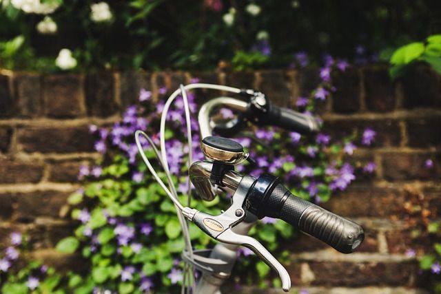 A bike handle with a flowery brick wall background